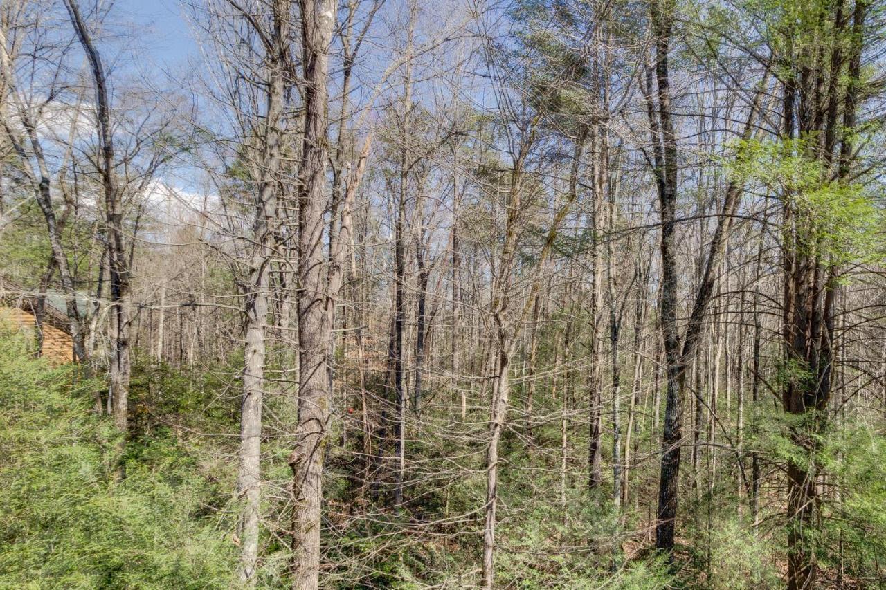 Tennessee Treasure Pigeon Forge Extérieur photo